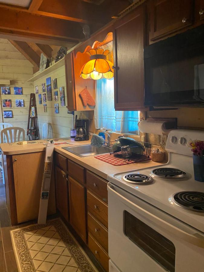 Log Harbor Cabins Okeechobee Εξωτερικό φωτογραφία